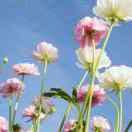 人是英雄钱是胆