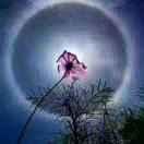 紫果身材管理宠粉号