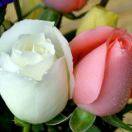 幸福的女人就是我