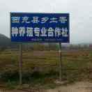 乡土香