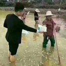 A胡头像