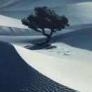 国家一级喂鱼大师