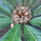 军宝蛋糕~~~汪建群