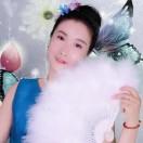 蝴蝶飞飞