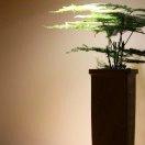 努力努努力再努努力