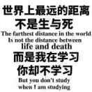 春夏秋冬