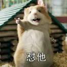 王乖乖头像