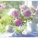 或许就不在乎你