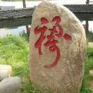 谁是谁的谁