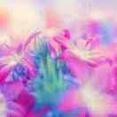 MediaItem{mOriginalP