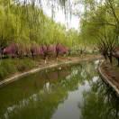 美好一生（专业浇地坪）🌸