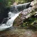 只求份安稳的....