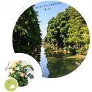 A.🌙eleven     ²⁰¹⁸