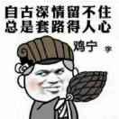 鸡宁