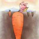 请理解我的不打扰