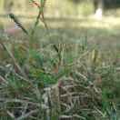 老婆大人说：名字长的人都很帅！