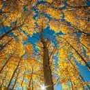 我姓谢 谢谢大哥的谢