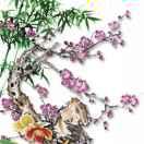 阿牛（星慕传媒）