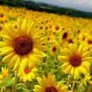 此生有你……足矣～💘