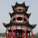 张先生。。。。