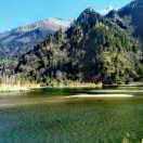 国际本科张老师