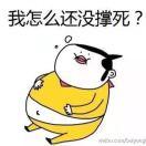 今天大王不巡山