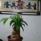 合众汽修 孙大胜