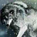 ༒࿈绿茶配咖啡༙྇࿈༒