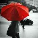 ✨✨花开淡墨痕