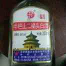 天天开心