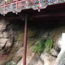 🪳豪顺亿ঞ💫幸运相随꧔ꦿ᭄💫🐜