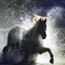 开心豆18997256785