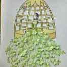 猫先森（生活版）