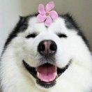 想想