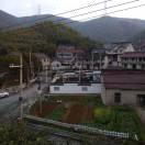 讲真话，做实事。