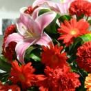 芳