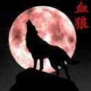 血狼哥哥（武乞）
