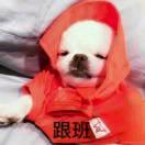 你是我的〖城〗