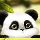 掬一把月光醉酒