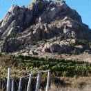 林芳山青水果王晓辉