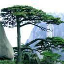 A昊昊