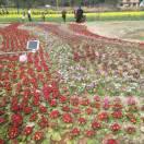 我爱我家🌺 🌺