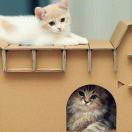 我小时候可呆了