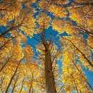 铜山区宝莱佳家具店