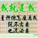 @风霜伴我行