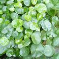 🍀相依相伴🍀