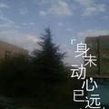 我爱我家41648