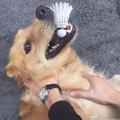 是真皮啊