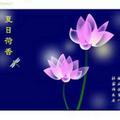 红豆杉农家乐