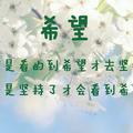 广东坚仔
